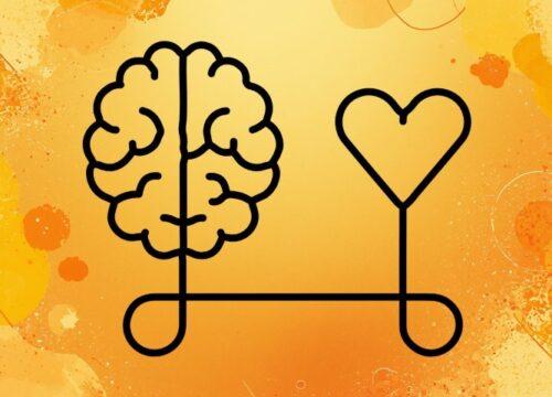 Waarom verbinding ons gelukkig maakt…